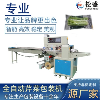廠家直供全自動蔬菜包裝機蔬菜水果包裝機械蔬菜自動包裝機設(shè)備