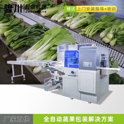 全自動蔬菜水果包裝機農業基地玉米包裝機超市社區蔬菜套袋打包機