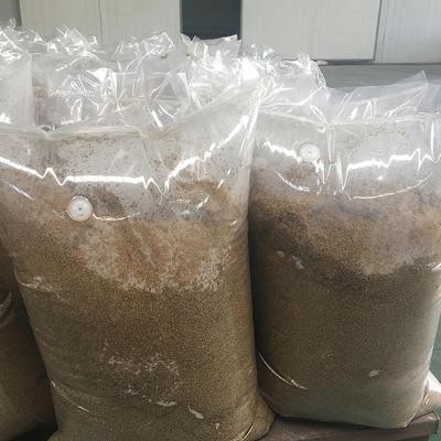飼料厭氧發(fā)酵袋豆渣酒糟青貯飼料呼吸膜單向排氣閥塑料透明包裝袋