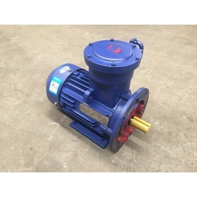 隔爆型三相異步電動(dòng)機(jī)YBX3-225M-2 45KW立臥式江蘇新大力防爆電機(jī)