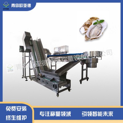 廠家供應(yīng) 青島歐亞德料盒分級秤 生蠔海蠣子重量分選設(shè)備定金
