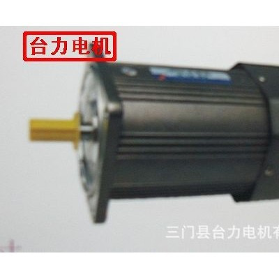 TAI LI 臺力電機 調速電機 光軸電機 140W *5ik140PGU-CFW*