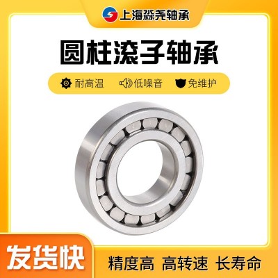 圓柱滾子軸承RN205 RN206 RN307RN309RN310RN312 NJ410NJ41 2NJ416