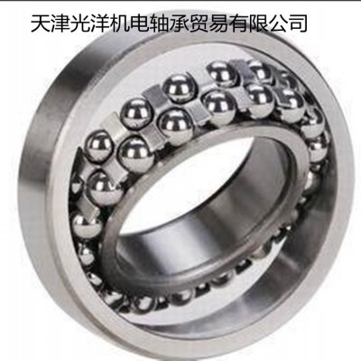 NSK調心球軸承 1312 1313 1314 1315 1316 1317 1318 1216 NSK