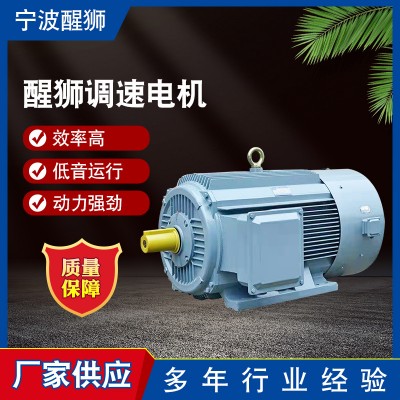 2022新款4級調(diào)速電機 效率高噪音小動力強大 批發(fā)變頻電機電動機