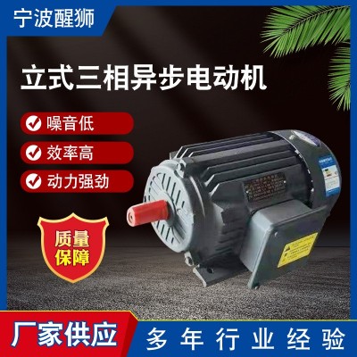 15千瓦4級立式三相異步電機