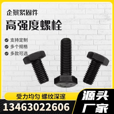 定制款 高強度碳鋼螺栓 外六角螺栓 氧化發黑襯板外六角螺栓螺絲