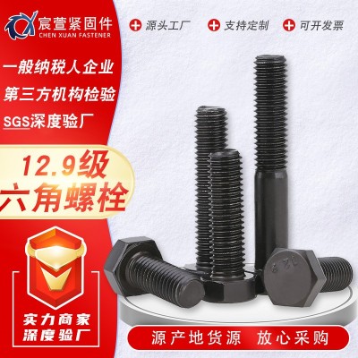 12.9級(jí)國(guó)標(biāo)高強(qiáng)度螺栓 外六角發(fā)黑高強(qiáng)度螺絲 高強(qiáng)螺栓8.8 10.9級(jí)