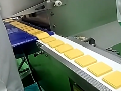 奶酪包裝機|食品包裝機