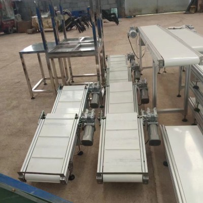 廠家供應 物流分揀 不銹鋼 工廠 企業供應 食品輸送機