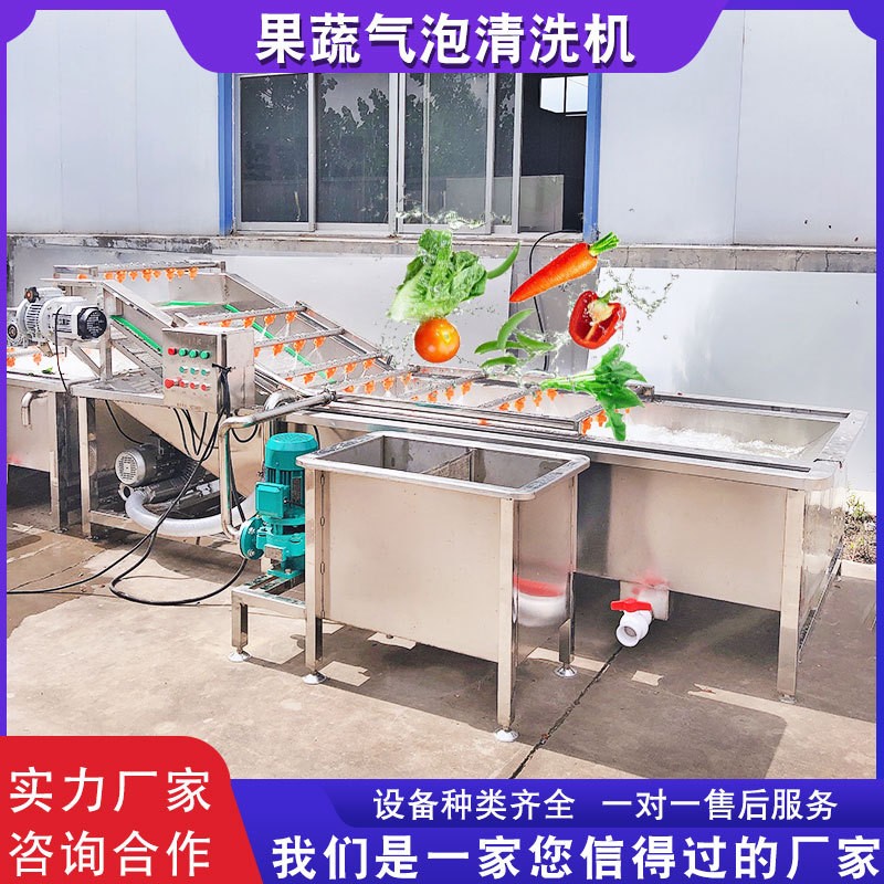 氣泡果蔬清洗機(jī) 半成品預(yù)制菜加工設(shè)備 白菜冬筍海帶蔬菜清洗機(jī)
