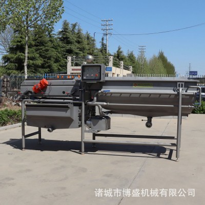 全自動蔬菜渦流清洗機(jī) 豆角旋流式渦流清洗機(jī) 枸杞連續(xù)式渦流清洗