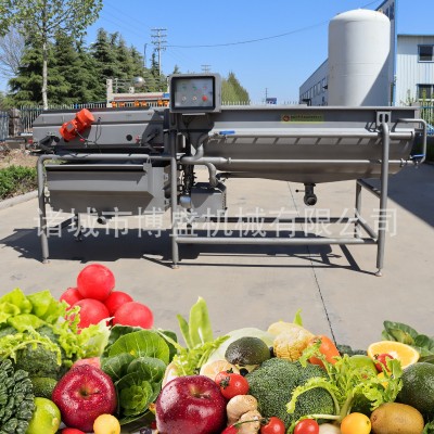 預(yù)制菜加工清洗機(jī) 蔬菜清洗去雜 凈菜渦流氣泡清洗震動瀝水流水線