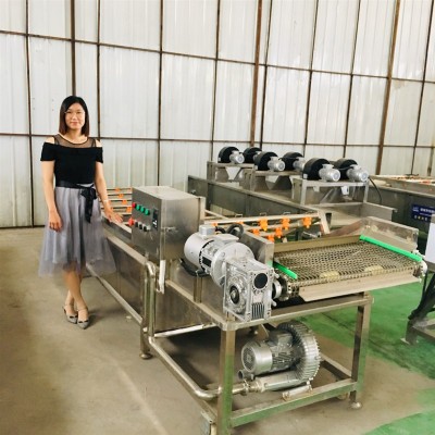 花椒八角清洗機(jī) 桂皮不銹鋼鏈板清洗機(jī) 調(diào)理品清洗風(fēng)干一體機(jī)設(shè)備