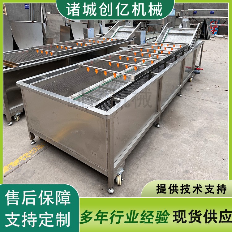 現(xiàn)貨櫻桃氣泡翻浪式清洗機(jī)設(shè)備 龍眼桂圓全自動(dòng)氣泡噴淋清洗機(jī)