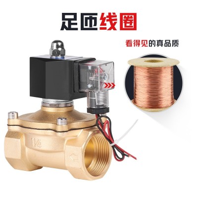 常閉戶外防水電子閥電子控制開關220v放水電磁水閥氣閥水用 電磁閥