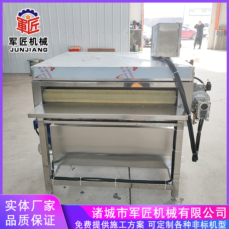 箬竹葉白果葉刷洗機(jī) 循環(huán)水洗葉機(jī) 全自動(dòng)雙層毛刷粽葉清洗機(jī)