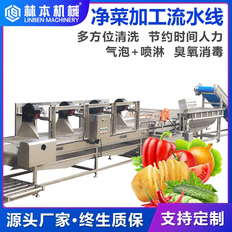 蔬菜氣泡噴淋清洗流水線 預(yù)制菜加工清洗流水線 凈菜加工流水線