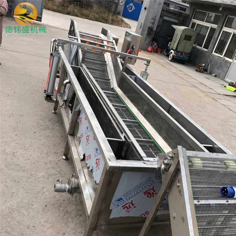 大澤山葡萄氣泡清洗機 節省人工 網帶輸送果蔬氣泡清洗機 效果好