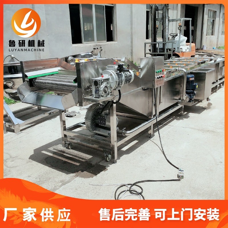 魯研牌多功能菠菜氣泡清洗機 可提升中藥材清洗設備 三七清洗機