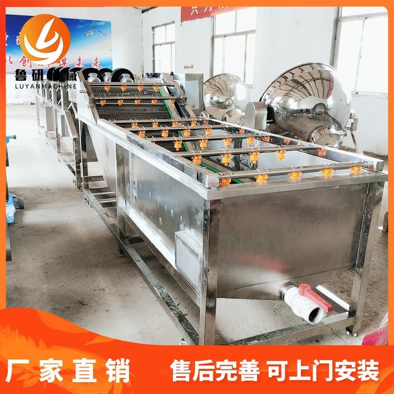 多功能氣泡粽葉清洗機 紅棗氣泡清洗機 薄荷葉清洗設備廠供應