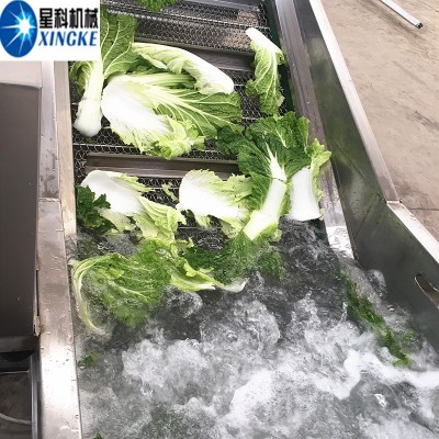 星科供應(yīng) 洗魚機 洗菜設(shè)備 洗水果洗貝殼類 氣泡清洗機帶去沫