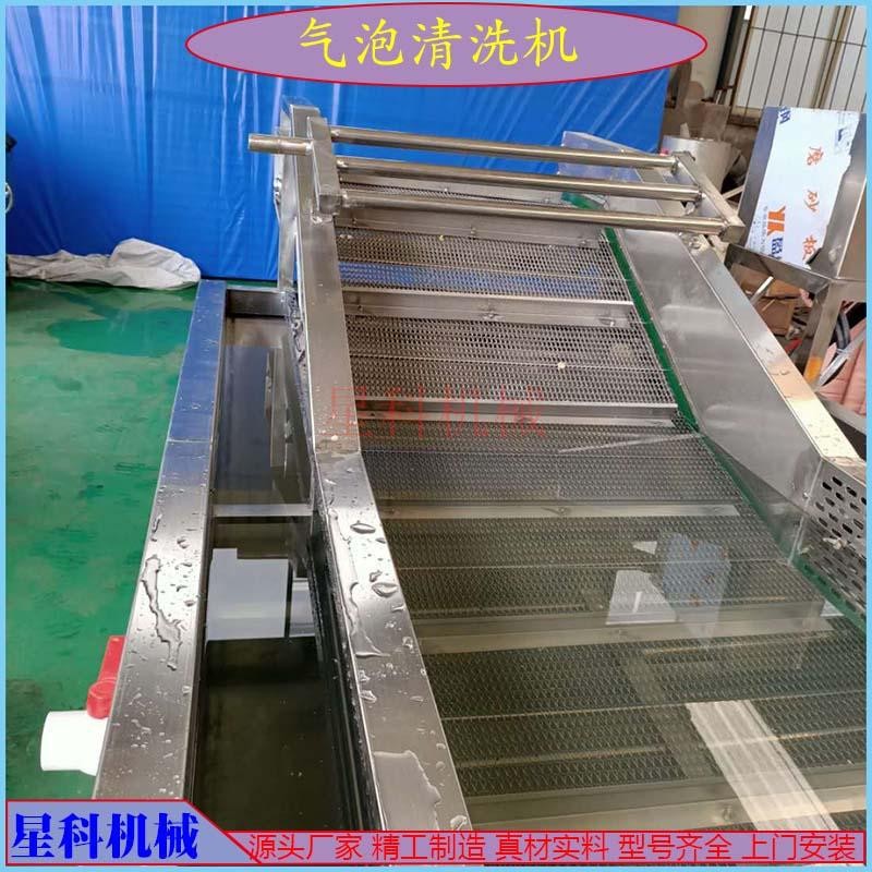 星科供應(yīng) 橙子拋光打蠟設(shè)備 蓮藕去皮清洗設(shè)備 綠豆芽清洗設(shè)備