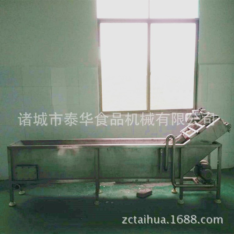 小型番茄氣泡清洗機(jī) 番茄西紅柿小型清洗設(shè)備 蔬菜泥土表面清洗