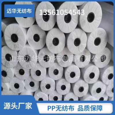 無紡布廠家生產丙綸無紡布PP紡粘無紡布材料包裝家紡無紡布襯面料