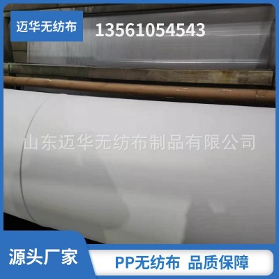 無紡布工廠生產PP無紡布紡粘丙綸無防布材料包裝家紡抱枕用非織布