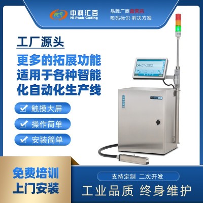 全自動小字符智能噴碼機包裝袋電纜激光工業流水線生產日期噴碼機