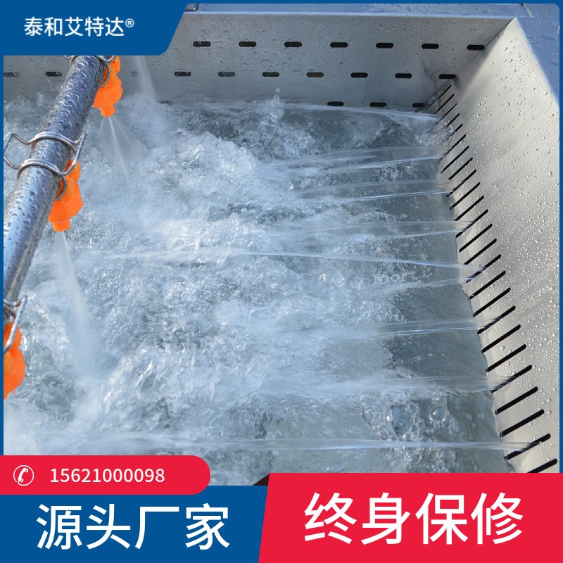 小龍蝦凈洗油炸成套設(shè)備 牡蠣海鮮去泥凈洗機 大型商用洗菜機