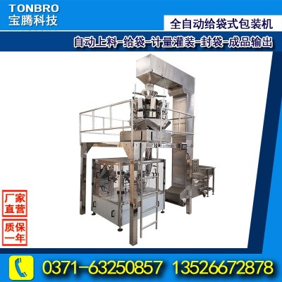 廠家直營不銹鋼全自動顆粒自立袋包裝秤給袋式十頭秤包裝機(jī)