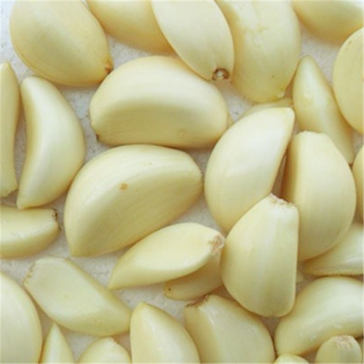 大蒜扒皮機干蒜全自動扒皮機不銹鋼小型大蒜扒皮機