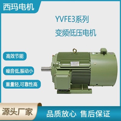 西安泰富西瑪電機YVFE3-0.75KW-500KW低壓變頻交流三相異步電動機