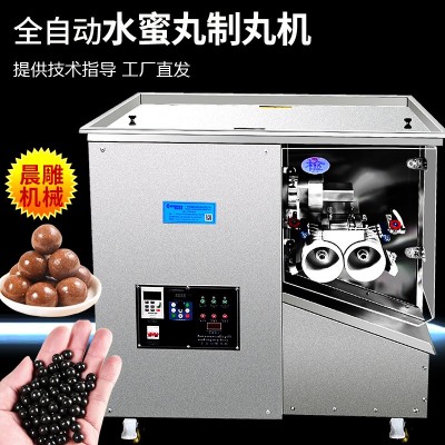 晨雕全自動中草藥制丸機 新型垂直出條水蜜丸機 香丸制粒工廠直銷