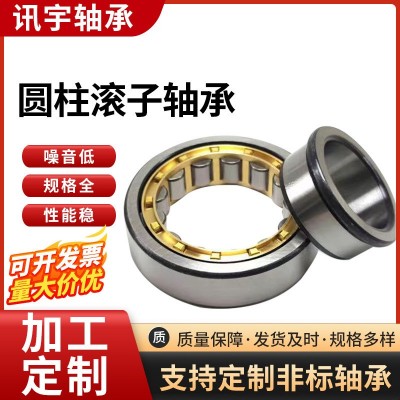 減速機專用軸承RN205 RN206 RN307 RN309圓柱滾子軸承  1套