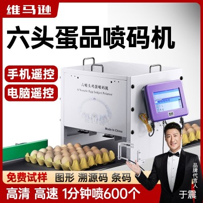 全自動流水線六噴頭雞蛋噴碼機打生產日期圖形流水線在線打碼機