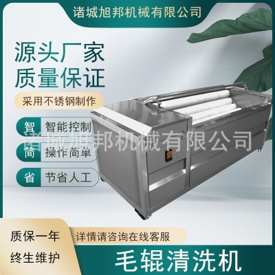 多功能蓮藕萵苣去皮清洗機 海蠣子去雜清洗設備 百香果毛輥清洗機