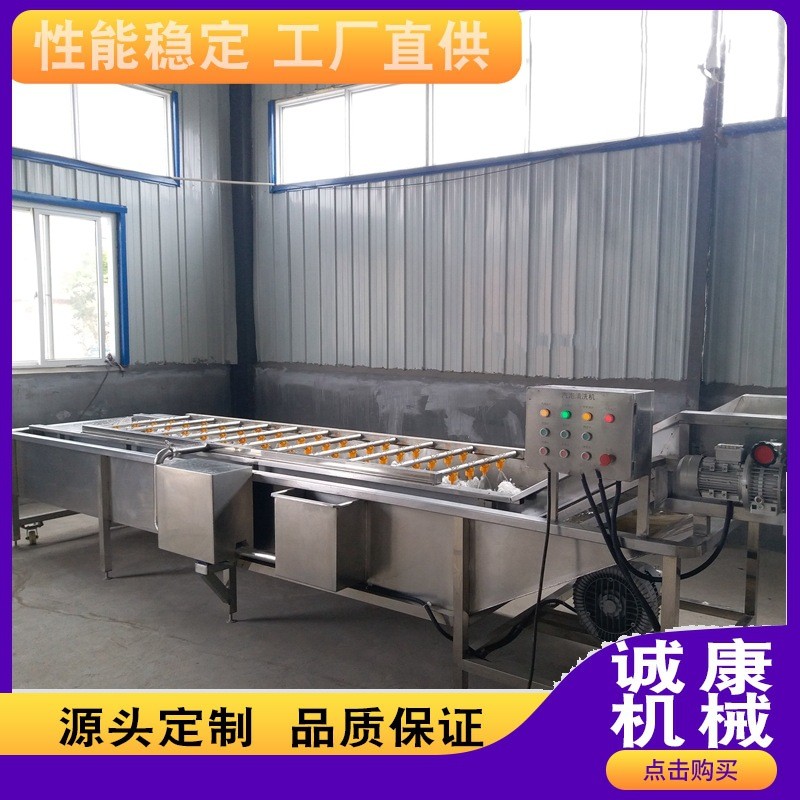 大型果蔬清洗機山楂紅棗冬棗清洗機蔬菜加工設備