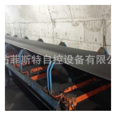 菲斯特陣列式電子皮帶秤 礦用序列式電子皮帶秤 精度高 好維護(hù)